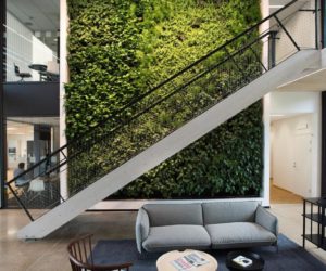 绿色墙壁 - 具有个性的办公室的酷设计口音